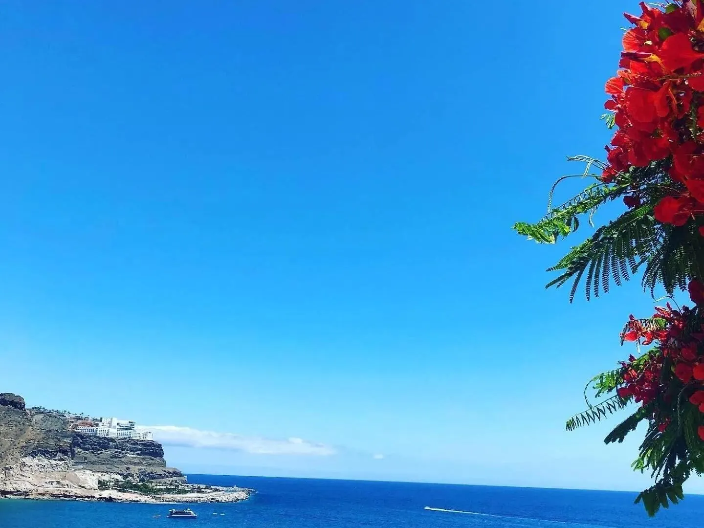 Apartment With Ocean View Playa Del Cura  Espagne